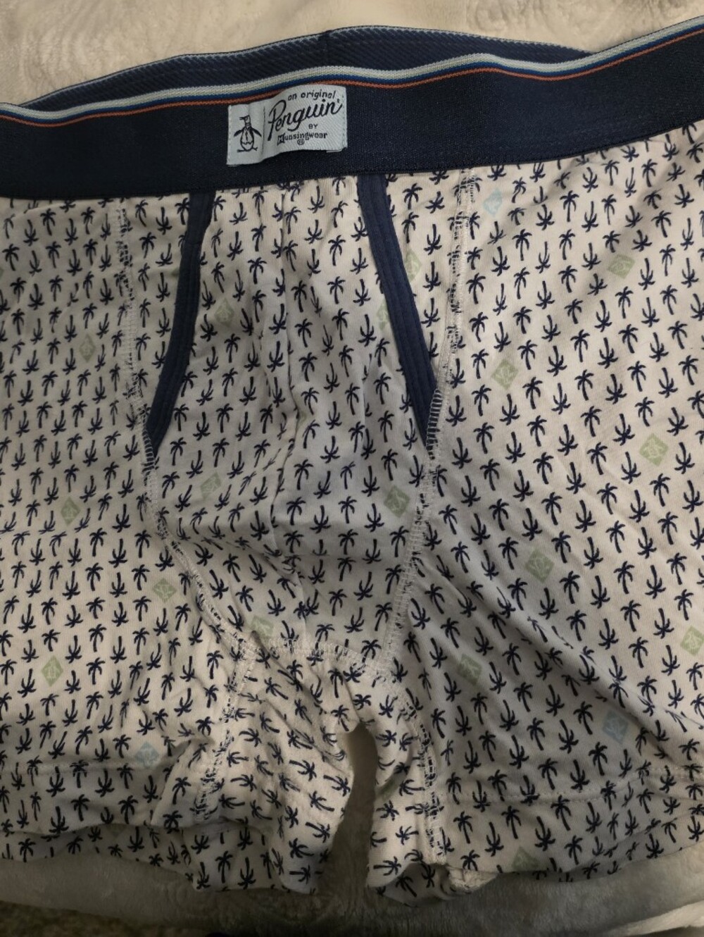 Penguin Boxer Breifs